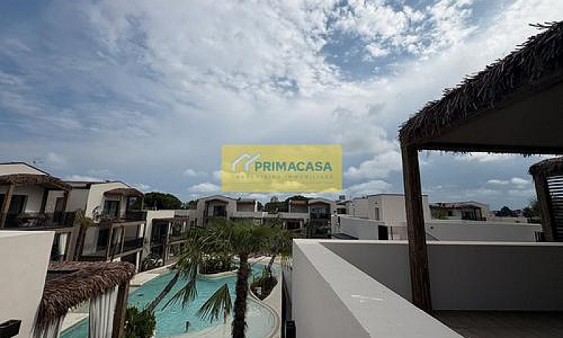 Oasi Tropicale Con F...