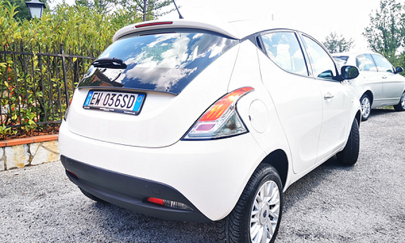 Ypsilon Ecochic Gold...
