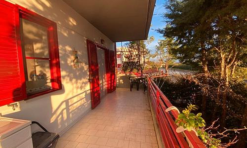 Marina Di Chieuti (F...