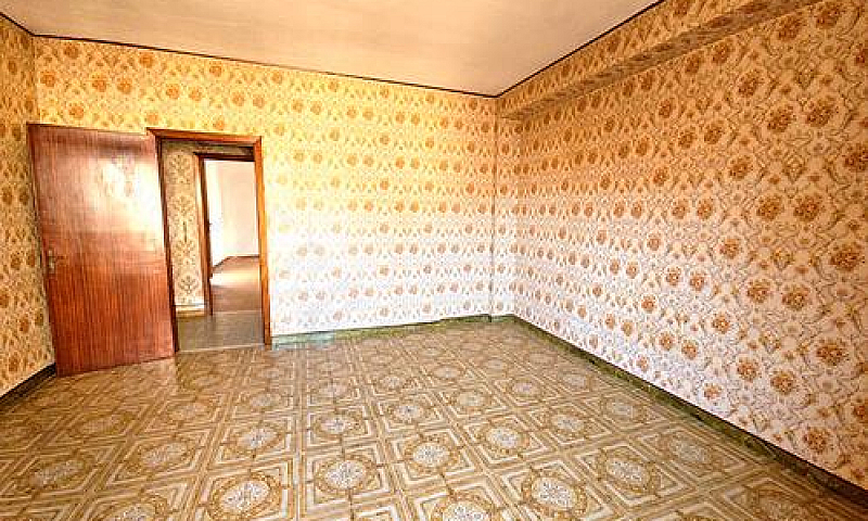 Zona Viale Colombo: ...