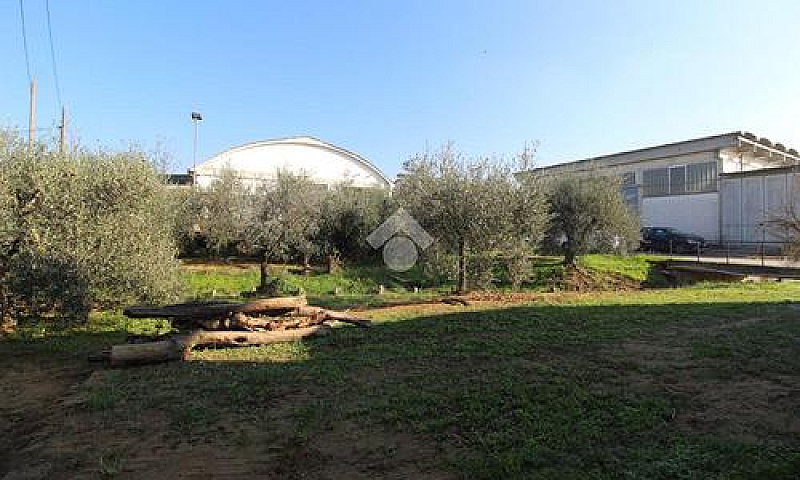 3 Locali A Lamporecc...