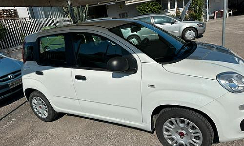 Panda 1.2 Gpl 2020...