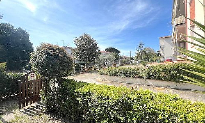 Castiglioncello, Con...