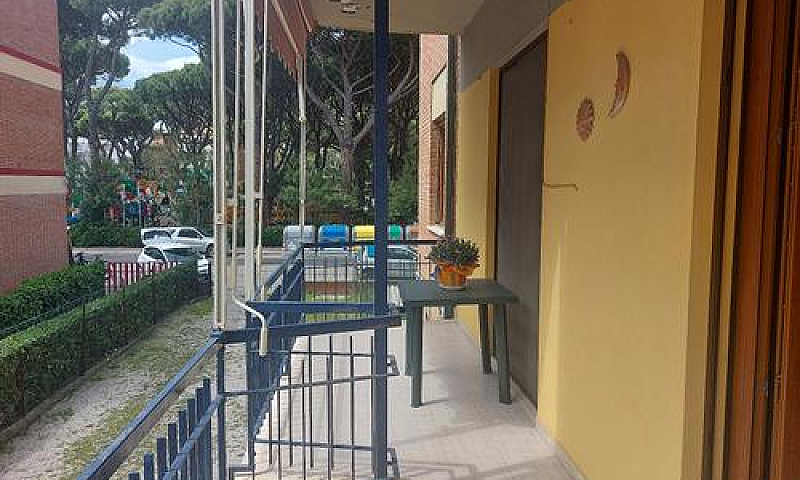 Marina Di Grosseto A...