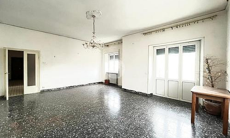 6 Locali A Viterbo...
