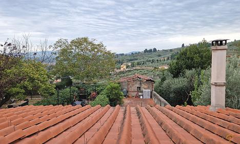 San Martino Alla Pal...
