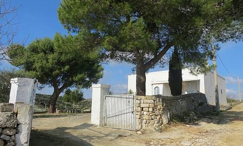 Casale Con Terreno E...