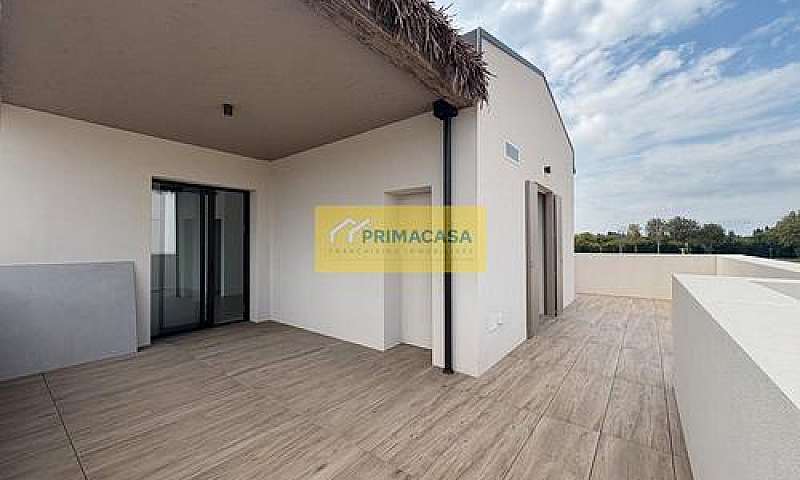 Oasi Tropicale Con F...