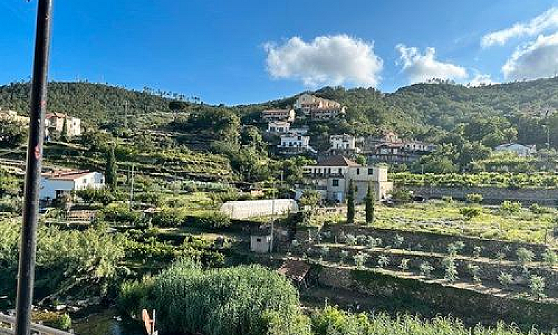 Tovo San Giacomo Si ...