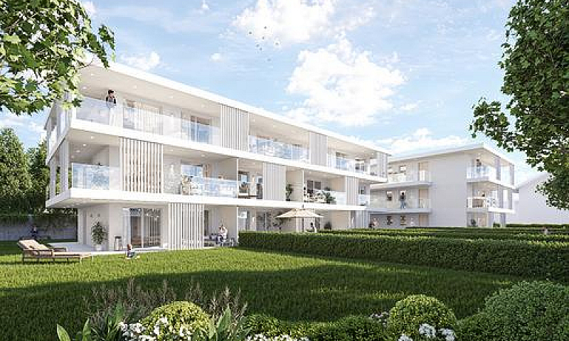 The White Residence:...