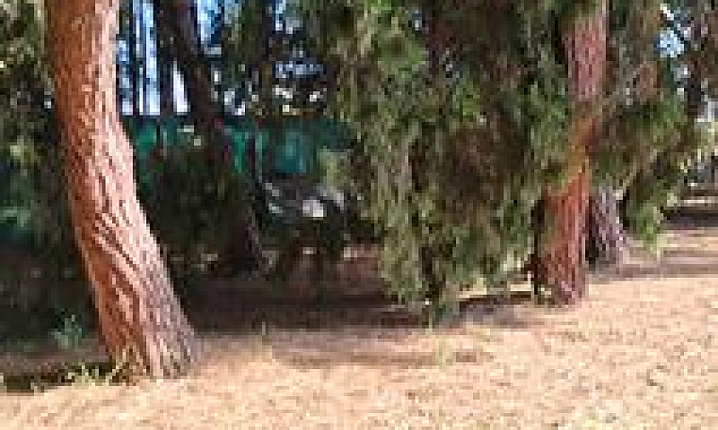 Piccola Casa In Pine...