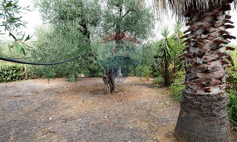 Appartamento - Barle...
