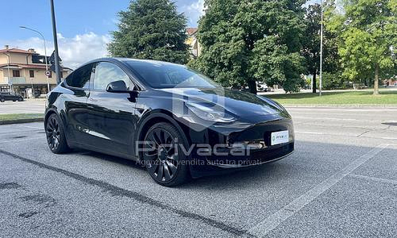 Tesla Model Y Perfor...