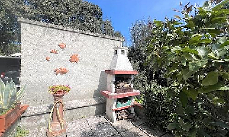 Castiglioncello, Con...