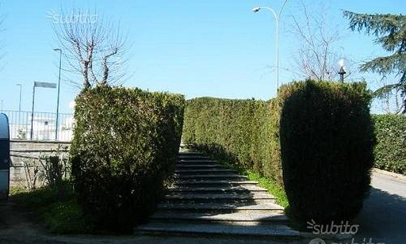 Grande Appartamento...