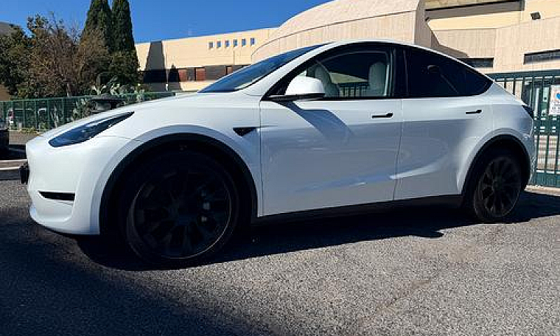 Tesla Model Y Long R...