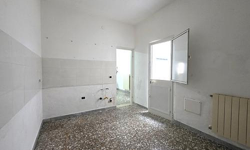 Piano Terra, Triloca...