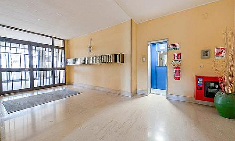Appartamento - Via T...