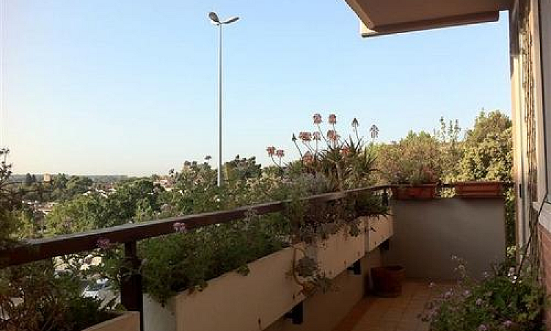 Appartamento Ampia M...