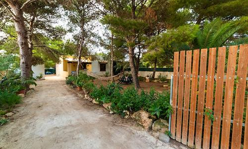 Casa Favignana...