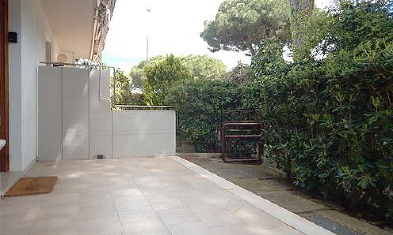 M137-M.castagneto- T...