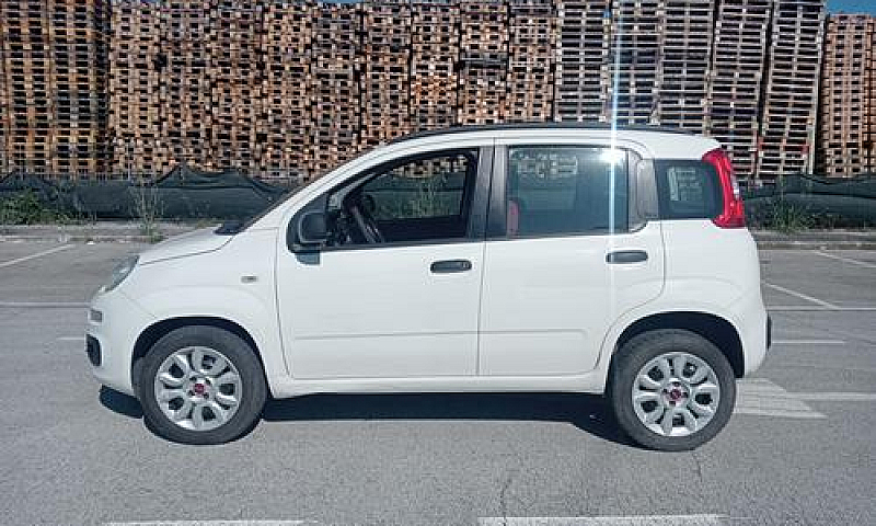 Panda Benzina Metano...