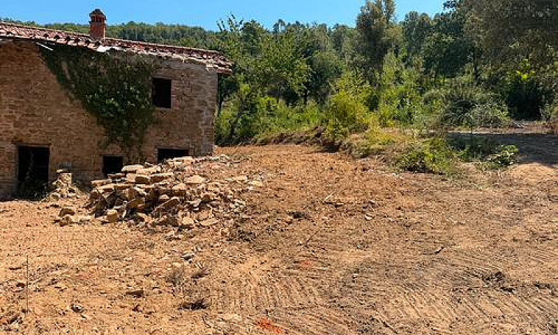Ex Convento...