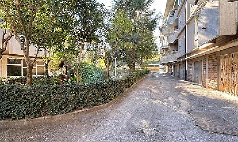 3 Locali A Viterbo...