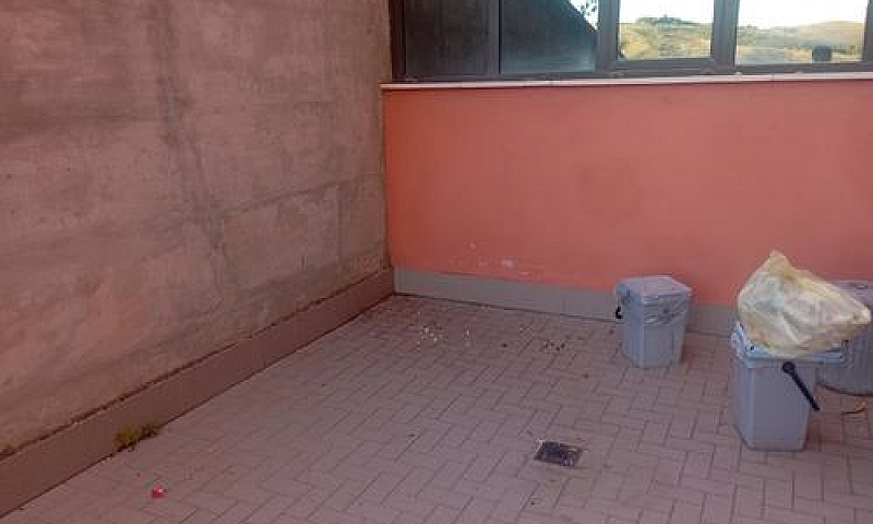Appartamento Con Ter...