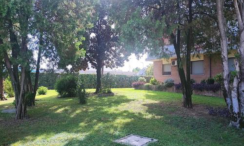 Spazioso Bicamere In...