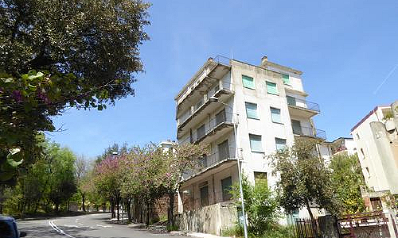 Intero Palazzetto Al...