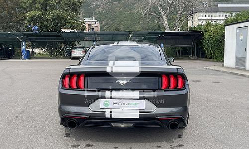 Ford Mustang Fastbac...