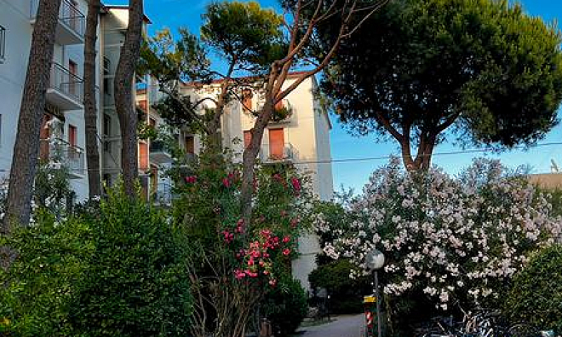 Monolocale Al Lido D...