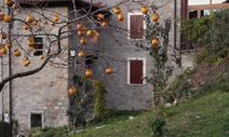 Casa Rurale Da Ristr...