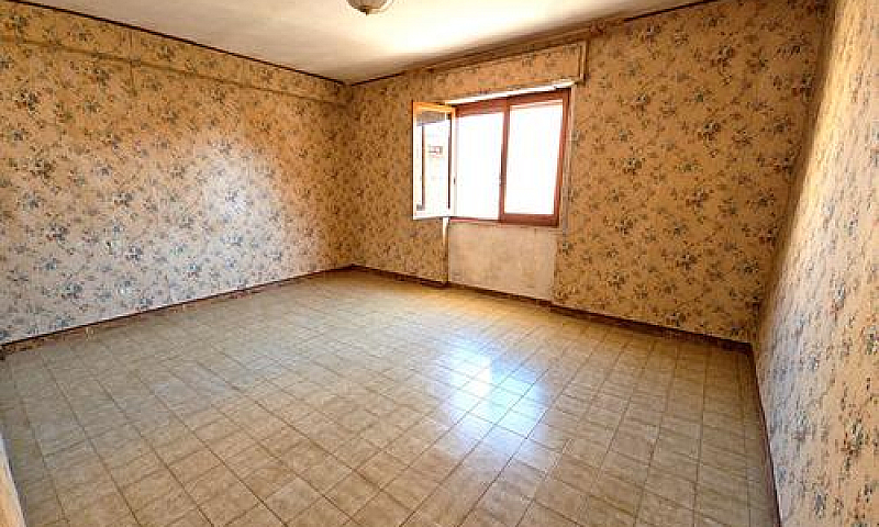 Zona Viale Colombo: ...