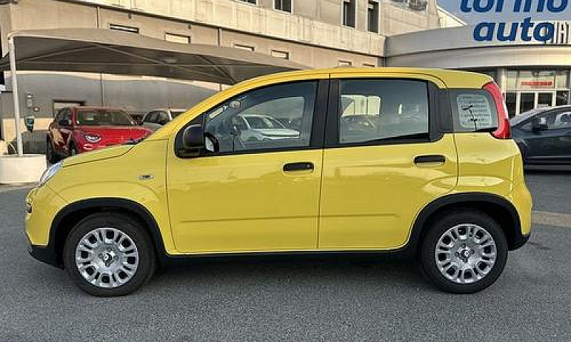 Fiat Panda 1.0 Firef...