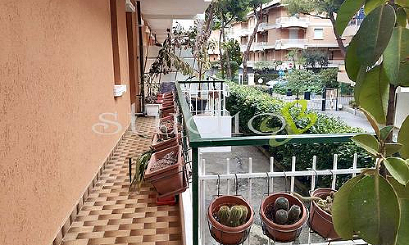 Bordighera - Rif. Bl...
