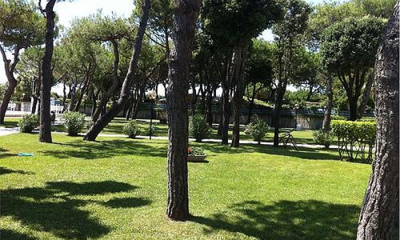 Comodo Bilocale In R...