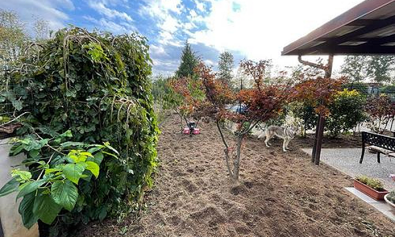 Appartamento - Aless...