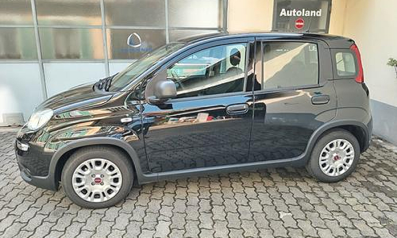 Fiat Panda 1.0 Firef...