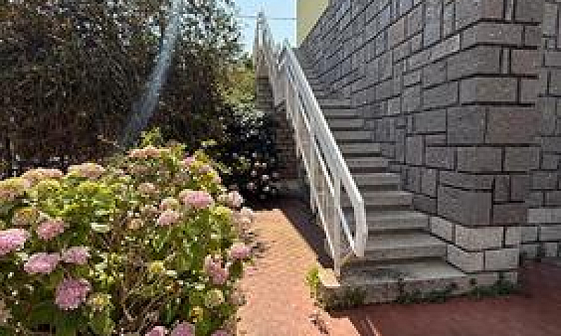 Villa Con Terreno A ...