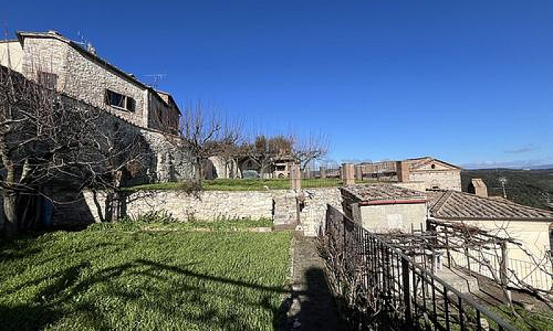 Amelia Palazzetto Ne...