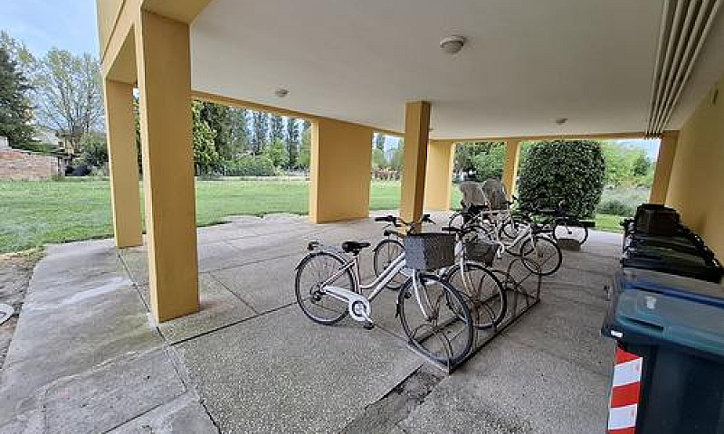 Trilocale A Rovigo...