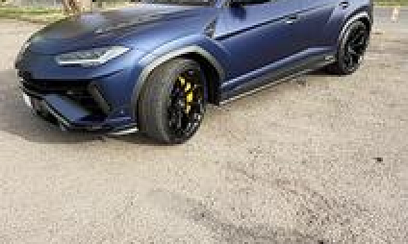 Ursu Performante...