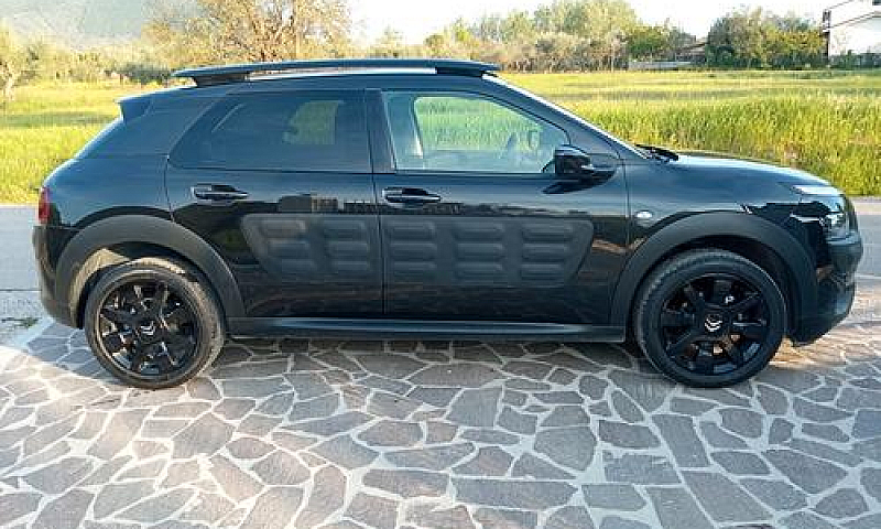 C4 Cactus Unipro Km ...