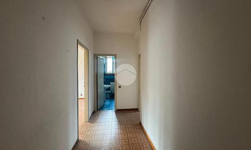 4 Locali A Camaiore...