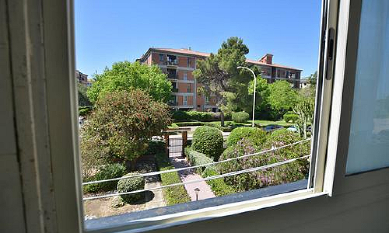 Appartamento - Cagli...