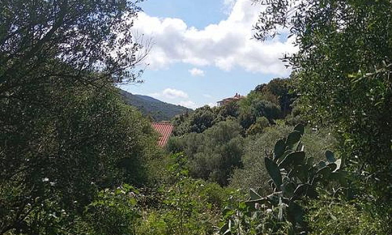 Terreno Edificabile ...