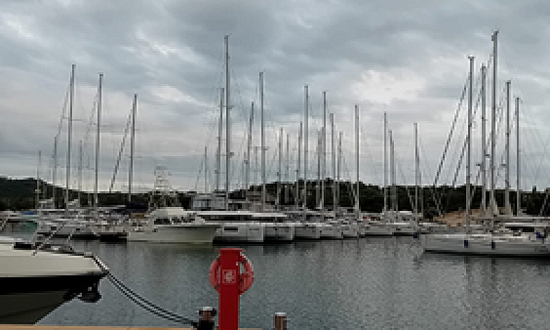 Appartamento Olbia M...