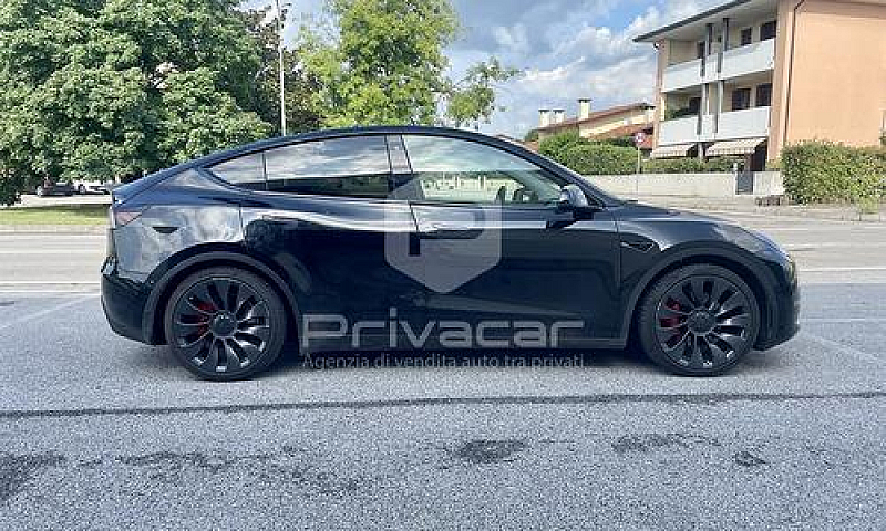 Tesla Model Y Perfor...